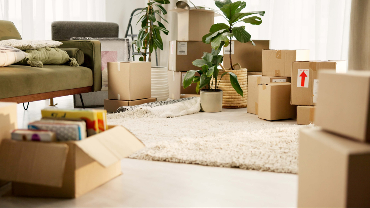 A living room with moving boxes