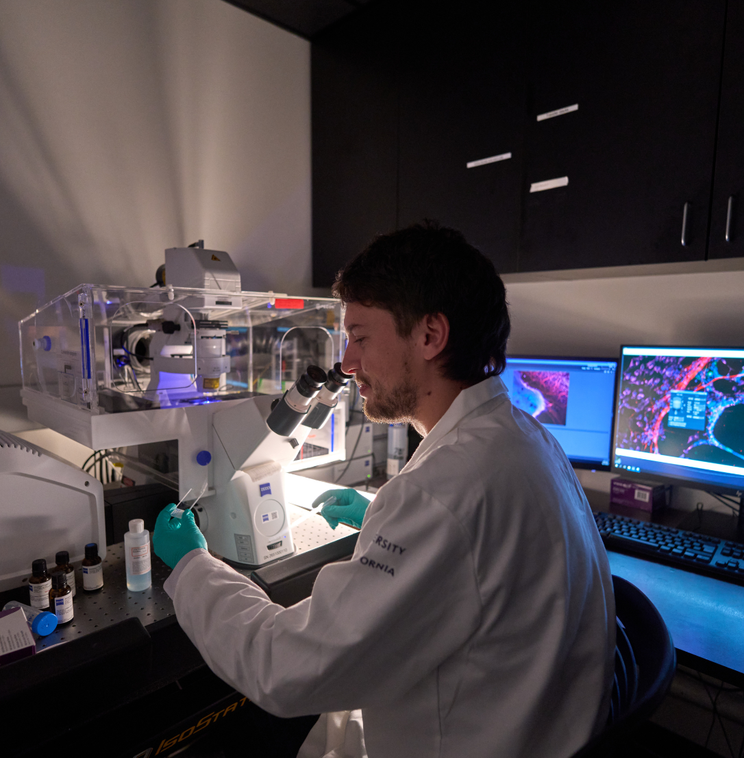 Nathan Griffin, PhD, postdoctoral scholar, performing conifocal microscopy immunoflourescent analysis