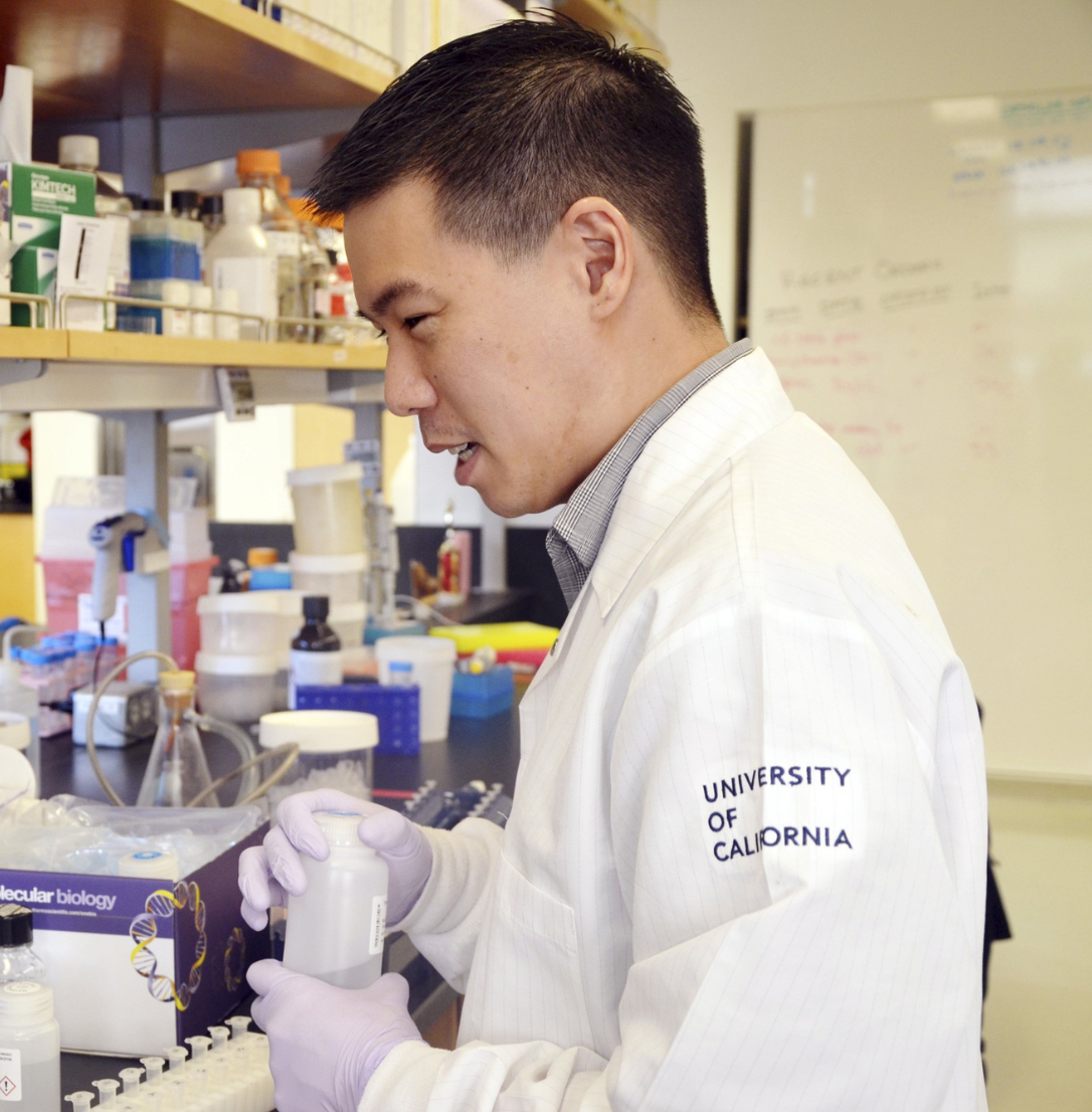 Postdoctoral fellow, Daniel Chu, at the bench