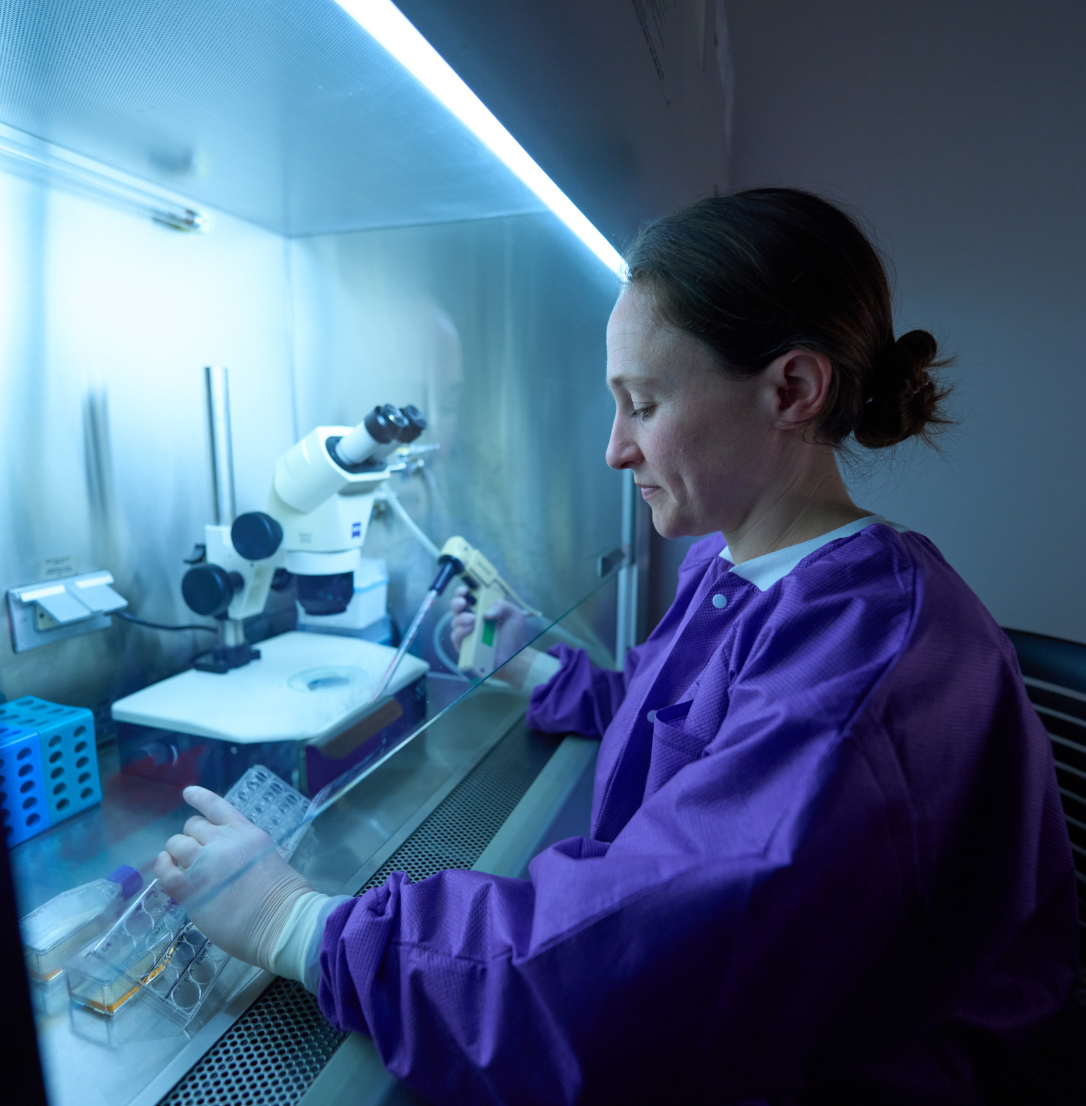 Abigail Kindberg, postdoctoral fellow, Department of Cell and Tissue Biology, takes samples in the Bush lab tissue room.
