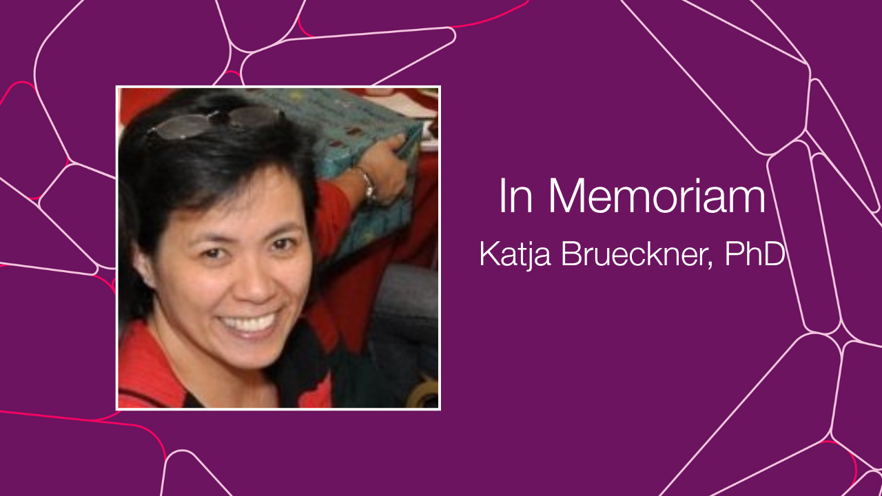 Kathryn Gabriel In Memoriam