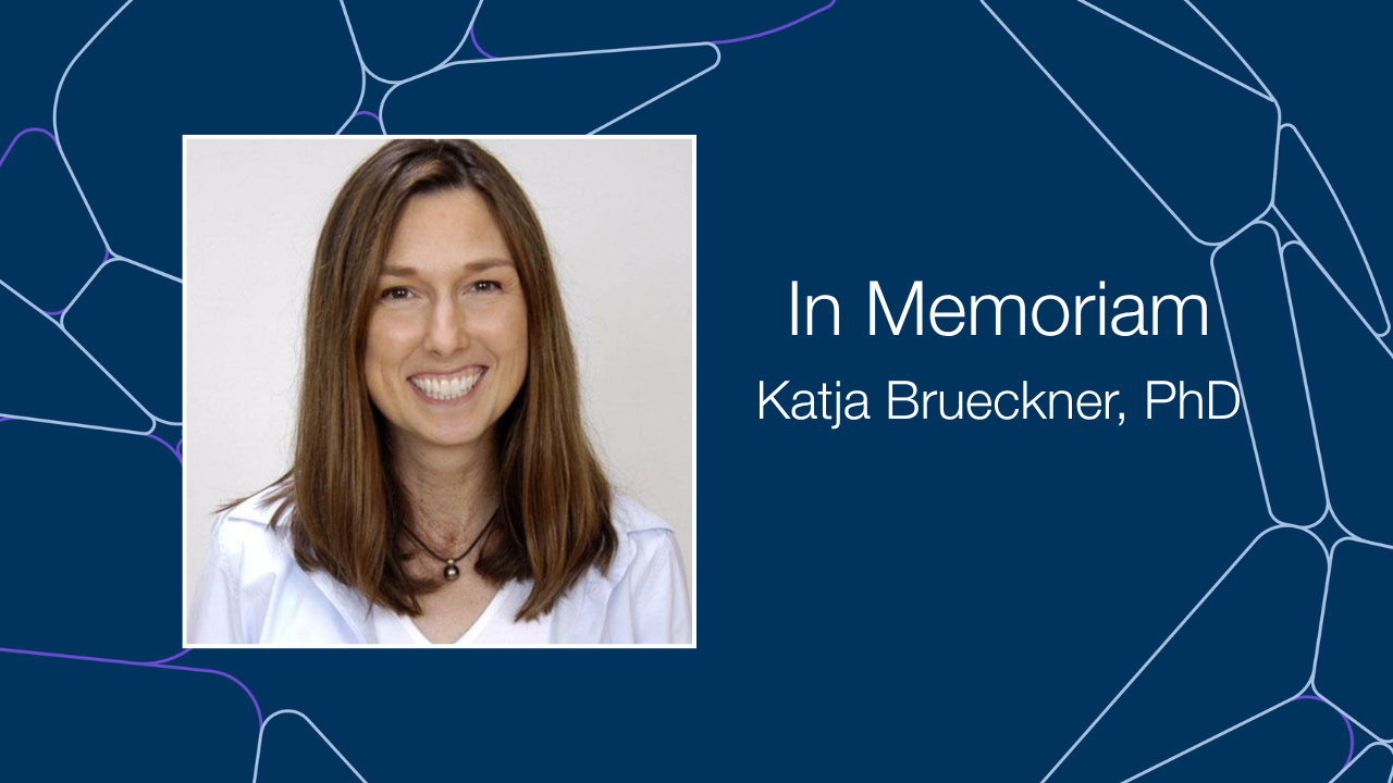 Katja Brueckner In Memoriam