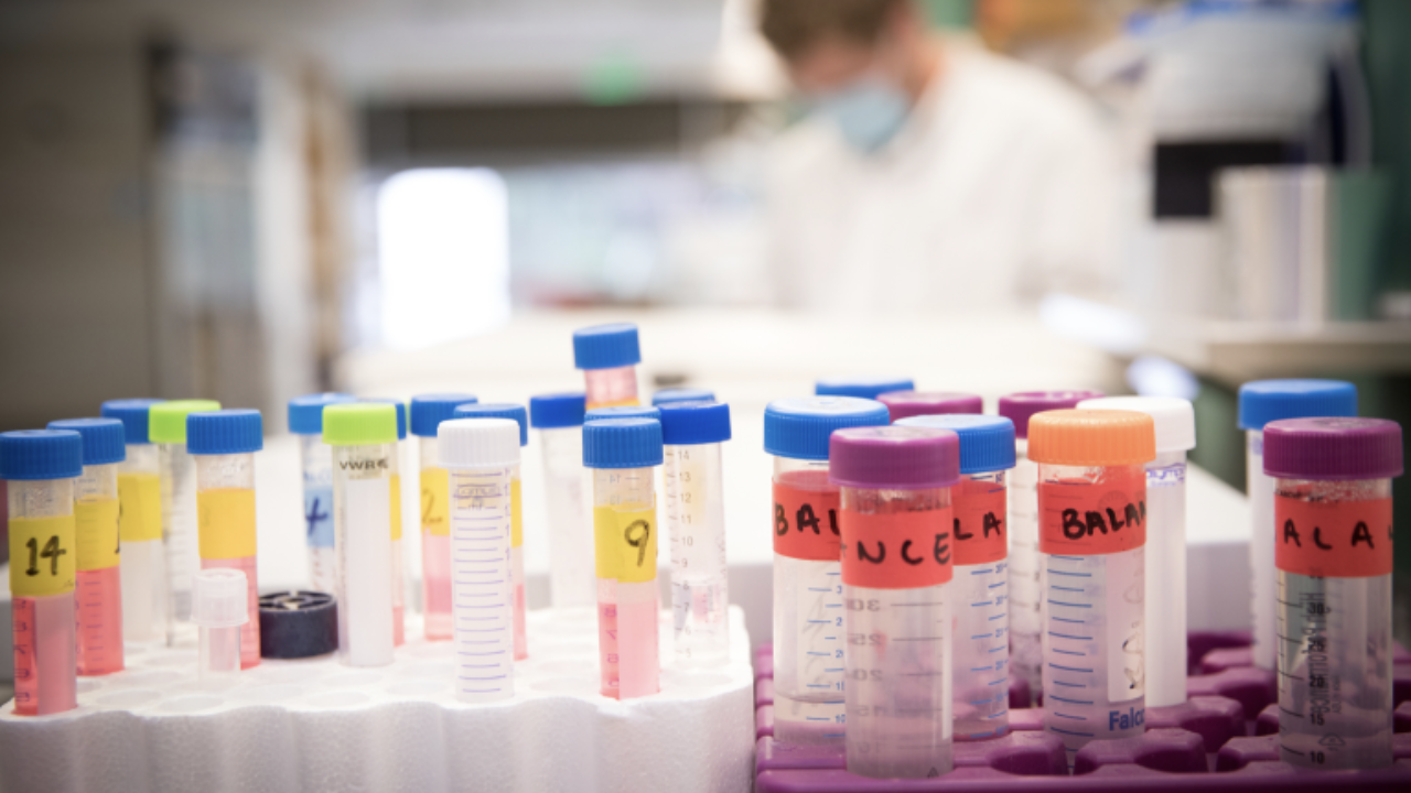 vials on the bench in a research lab