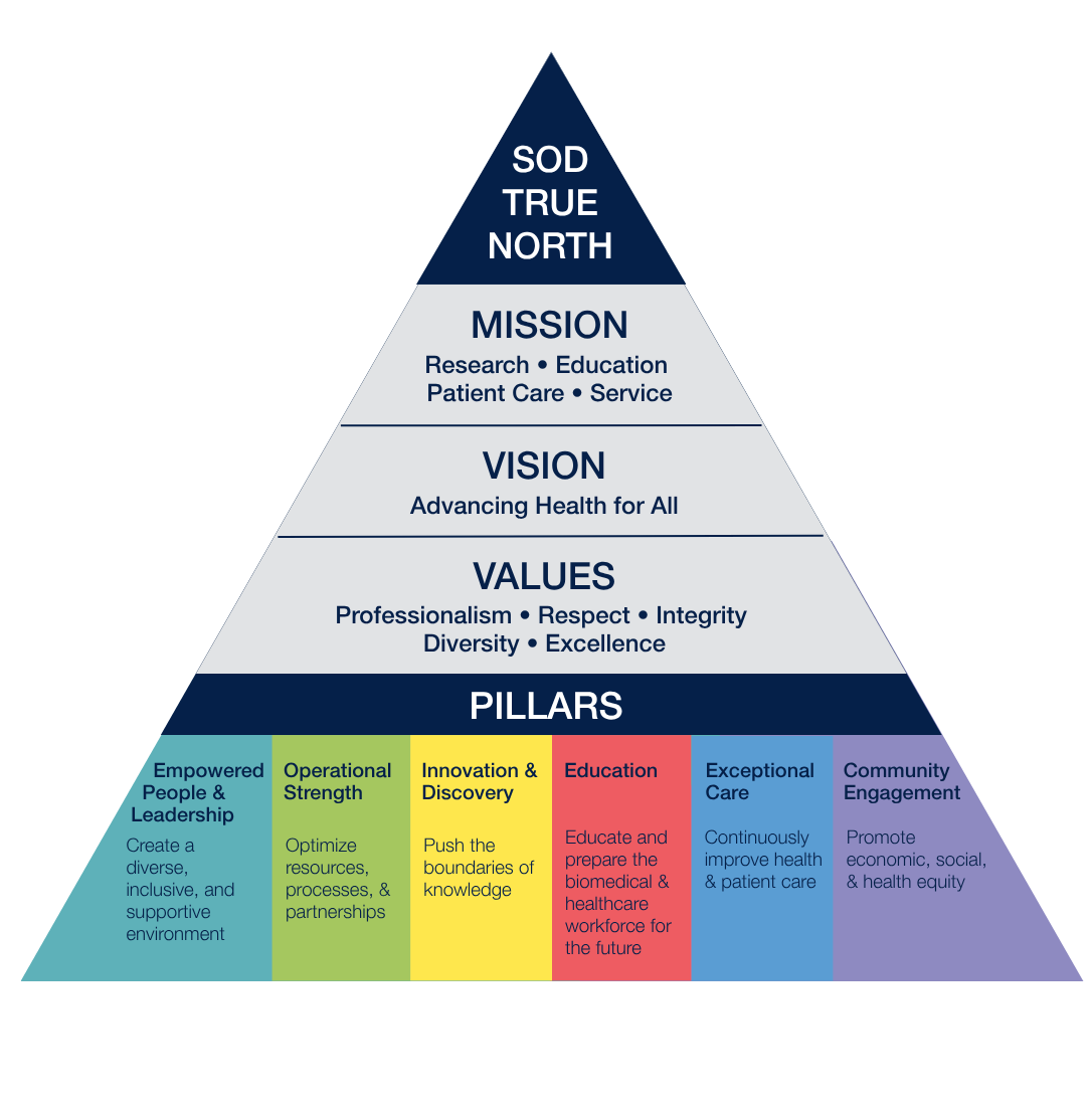 School of Dentistry True North pyramid graphic