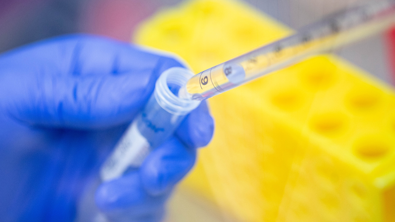 A researcher pipettes liquid into a vial.
