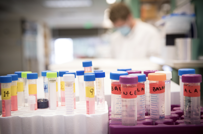 National Institute of Health (NIH) funding