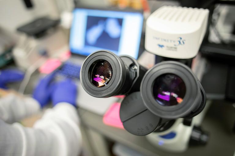 UCSF_20200205_Kriegstein Lab_135