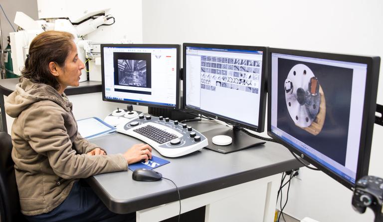 Sunita Ho, MS, PhD, views an array of computer screens.