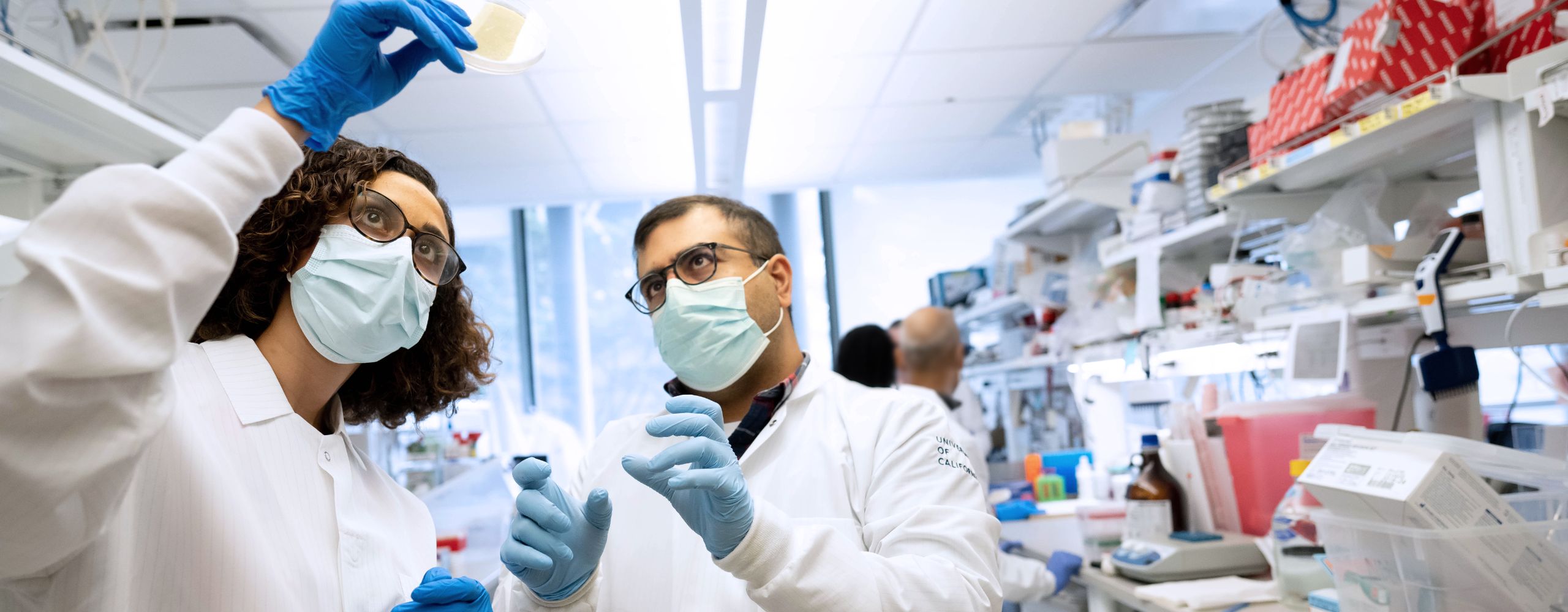 Two scientists in lab coats, masks, and gloves examining a petri dish in a well-equipped laboratory.