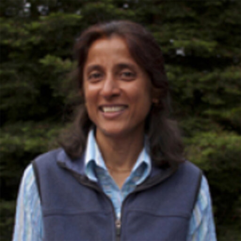 Sunita Ho