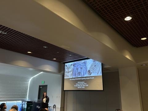 Bay Area Craniofacial Biology Convivium