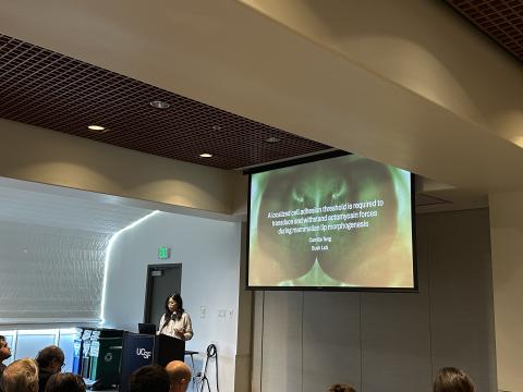 Bay Area Craniofacial Biology Convivium