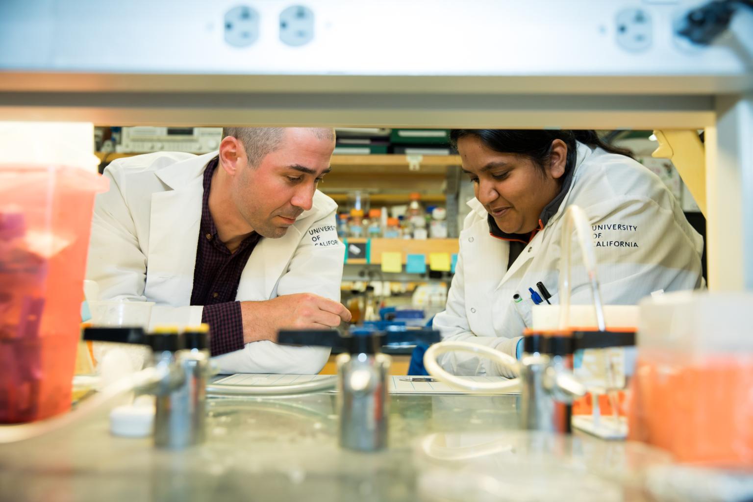 Image of UCSF Researchers in Kutys Lab