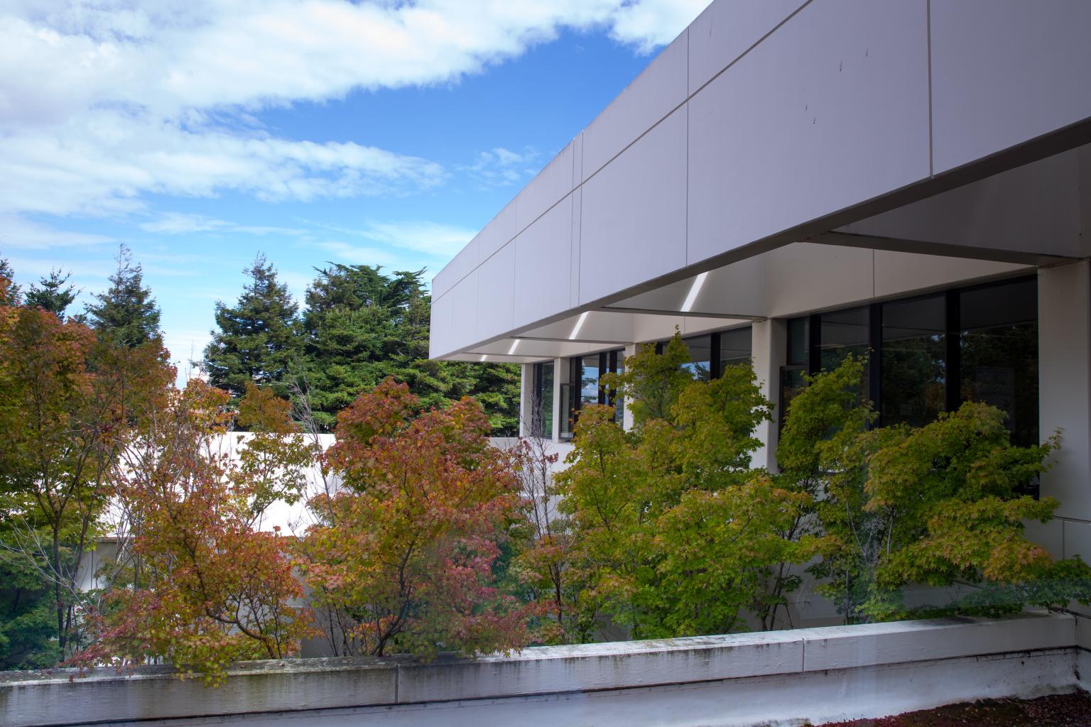 Photo of UCSF Dental Building with Trees